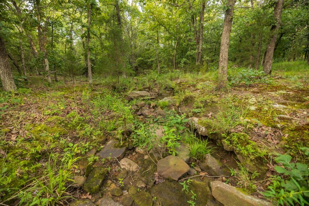 Ne 100th Road Property Photo 66