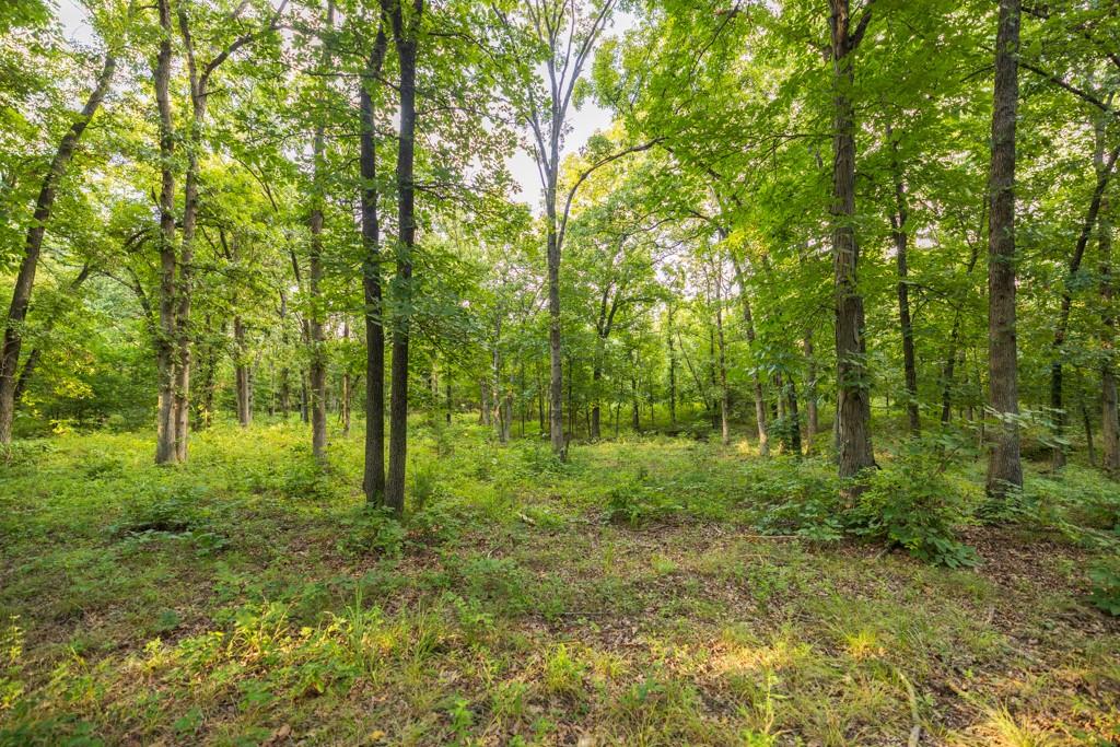Ne 100th Road Property Photo 69