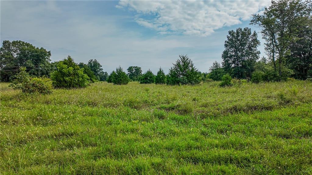 0000 Ne 251 Road Property Photo 14