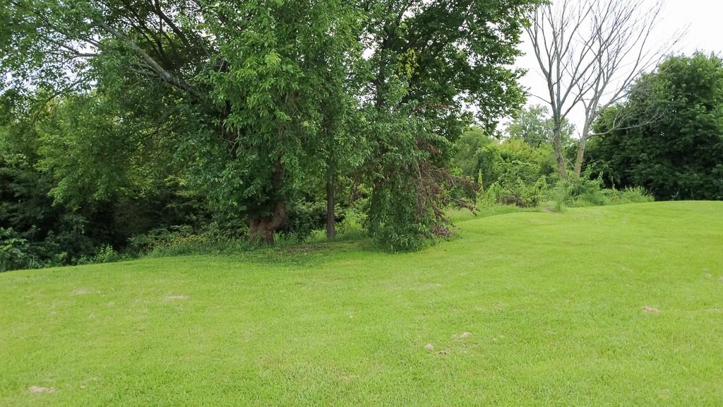 2509 Jones Ranch Parkway Property Photo 3