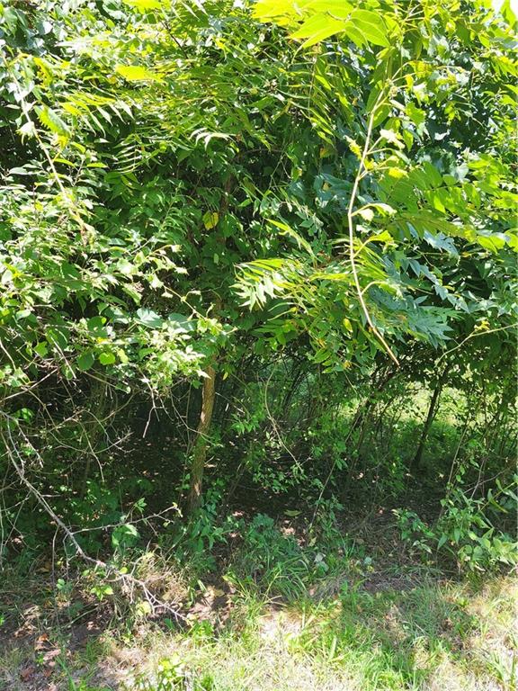 65 Pheasant Run N/a Property Photo 3