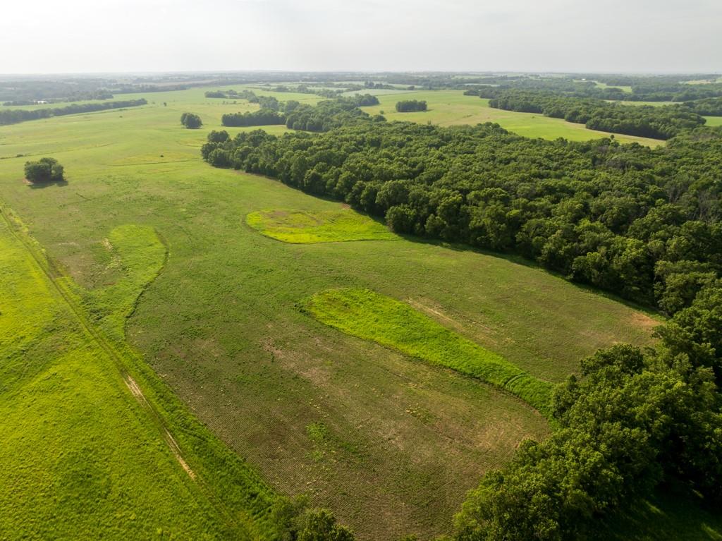 Cr 330 Road Property Photo 3