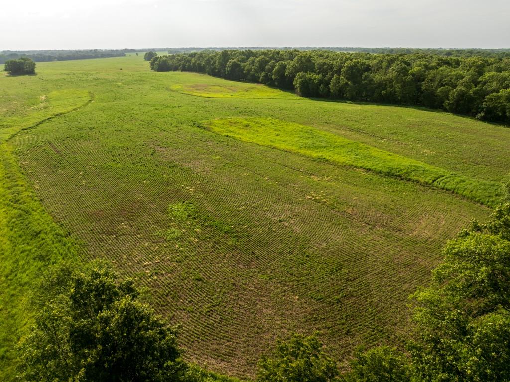 Cr 330 Road Property Photo 4