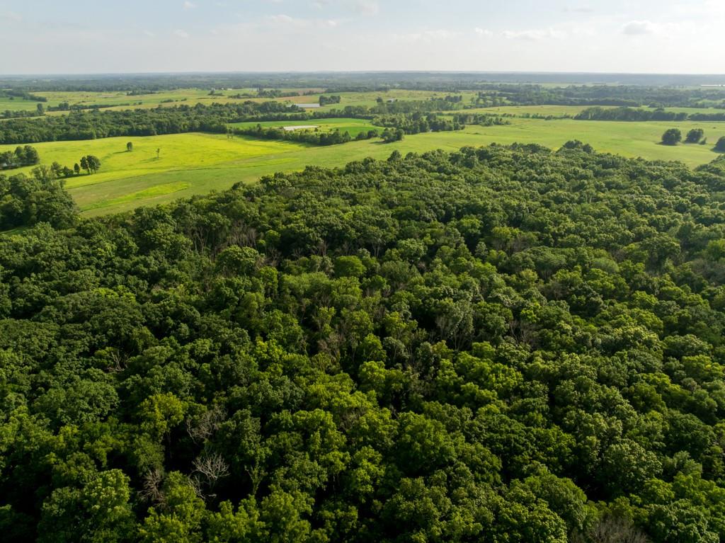 Cr 330 Road Property Photo 7