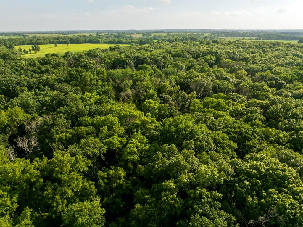 Cr 330 Road Property Photo 8