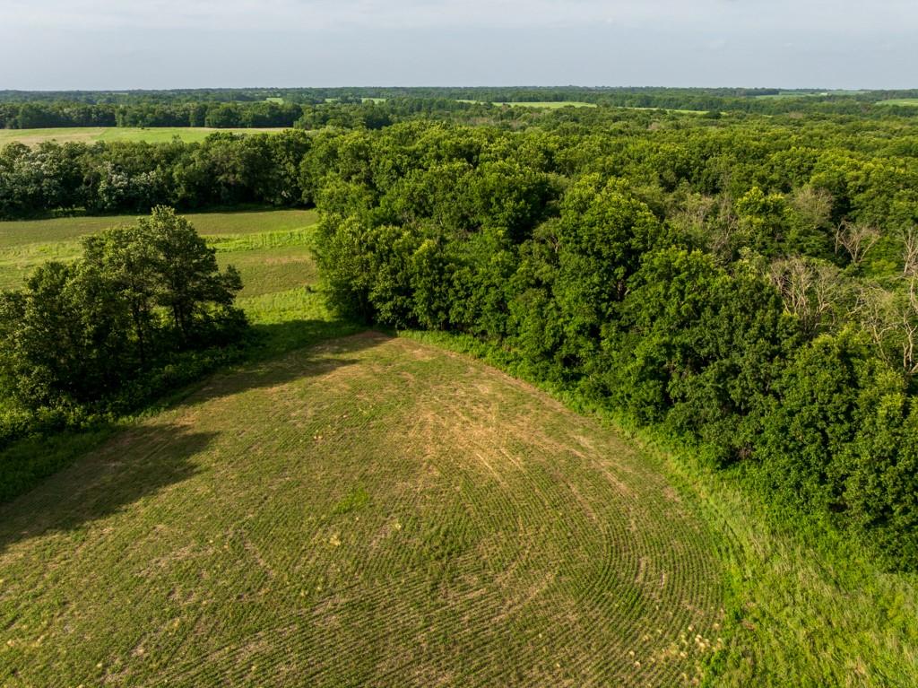 Cr 330 Road Property Photo 13