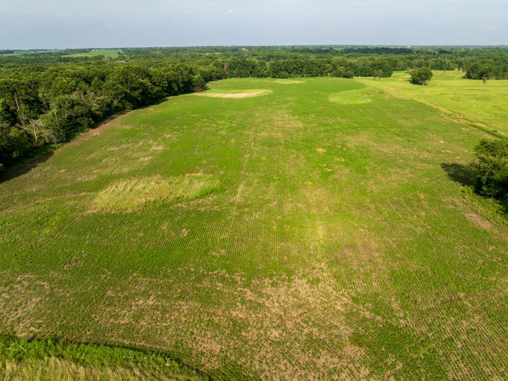 Cr 330 Road Property Photo 14