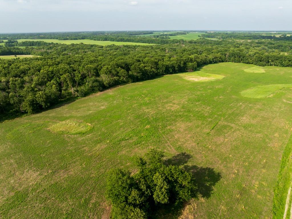 Cr 330 Road Property Photo 16
