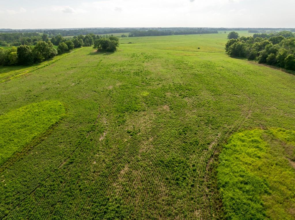 Cr 330 Road Property Photo 17