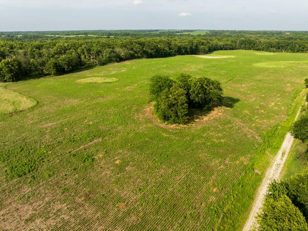 Cr 330 Road Property Photo 20