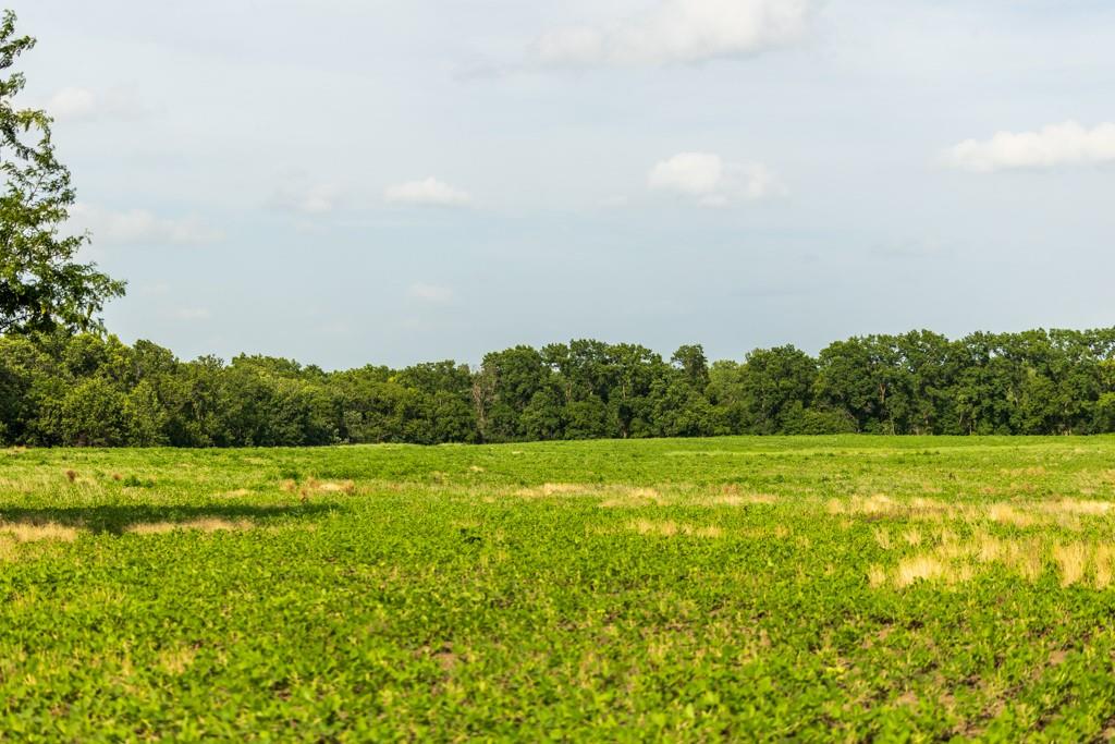 Cr 330 Road Property Photo 21