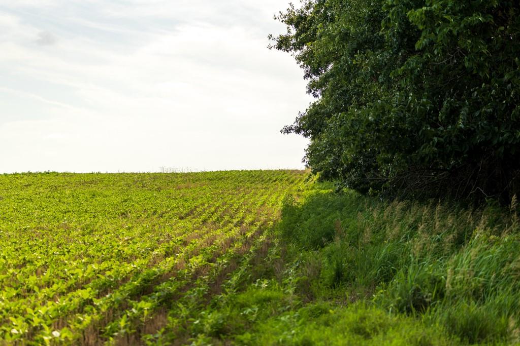 Cr 330 Road Property Photo 23