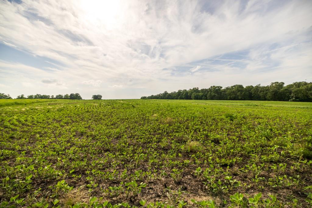 Cr 330 Road Property Photo 25