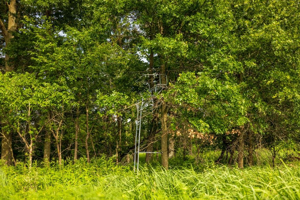 Cr 330 Road Property Photo 26