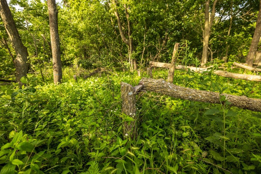 Cr 330 Road Property Photo 27