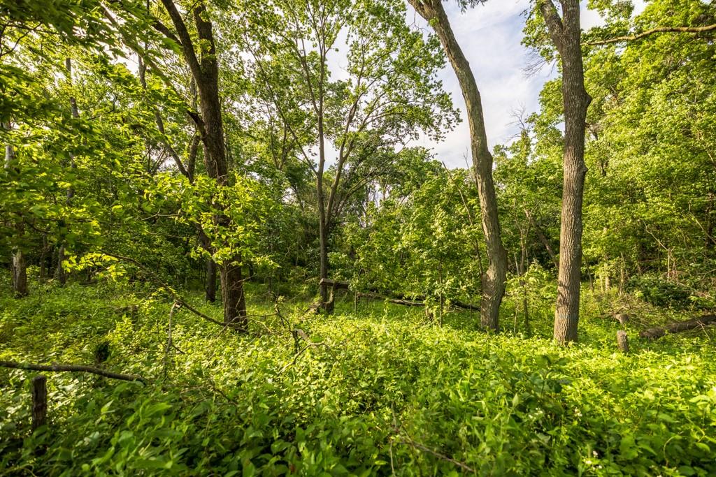 Cr 330 Road Property Photo 28