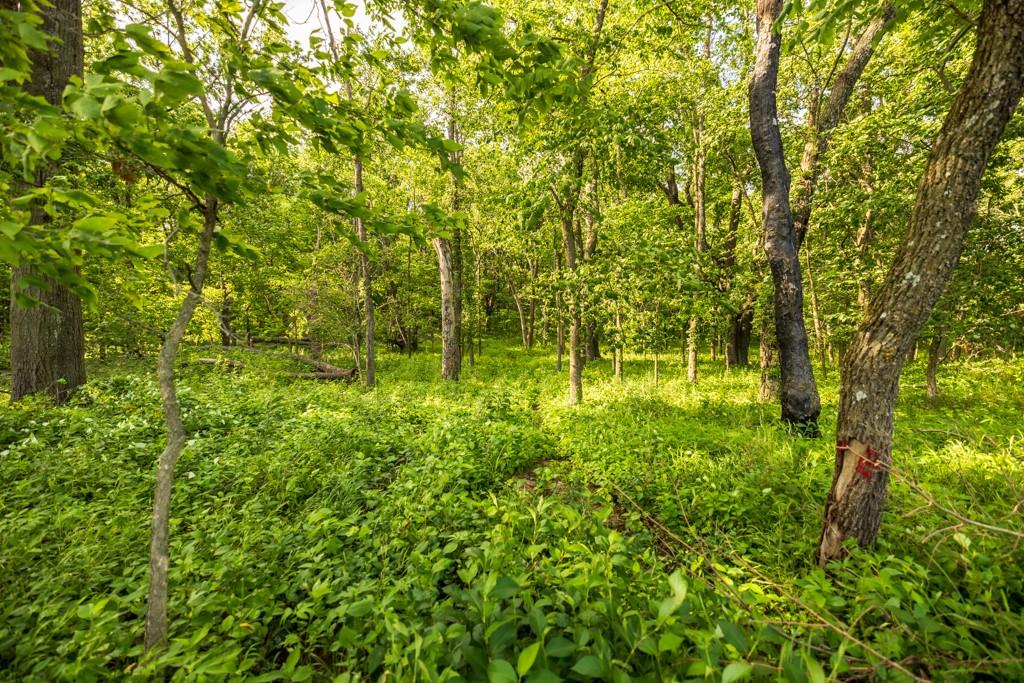 Cr 330 Road Property Photo 30