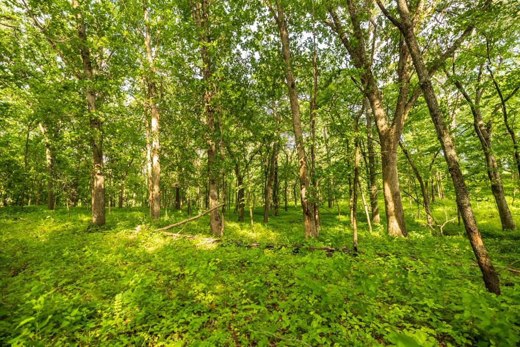 Cr 330 Road Property Photo 31