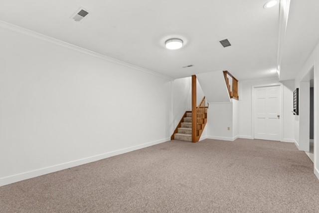 1000 Main Road Property Photo 32