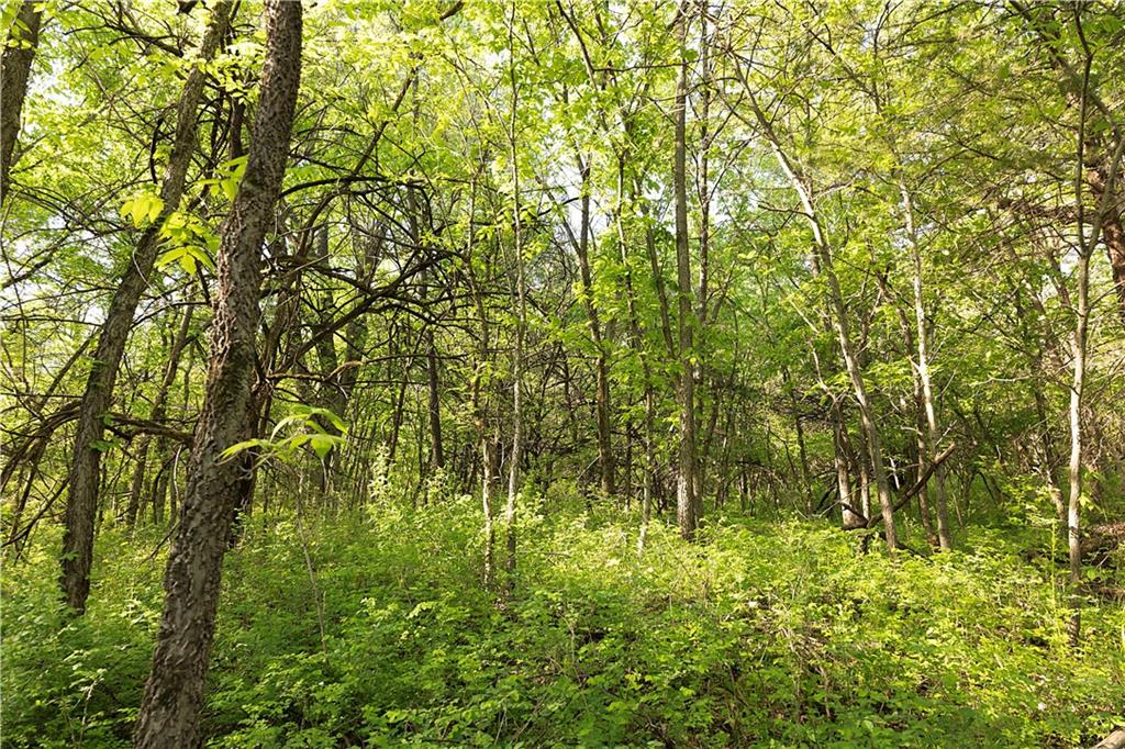 Tbd Key Avenue Property Photo 39