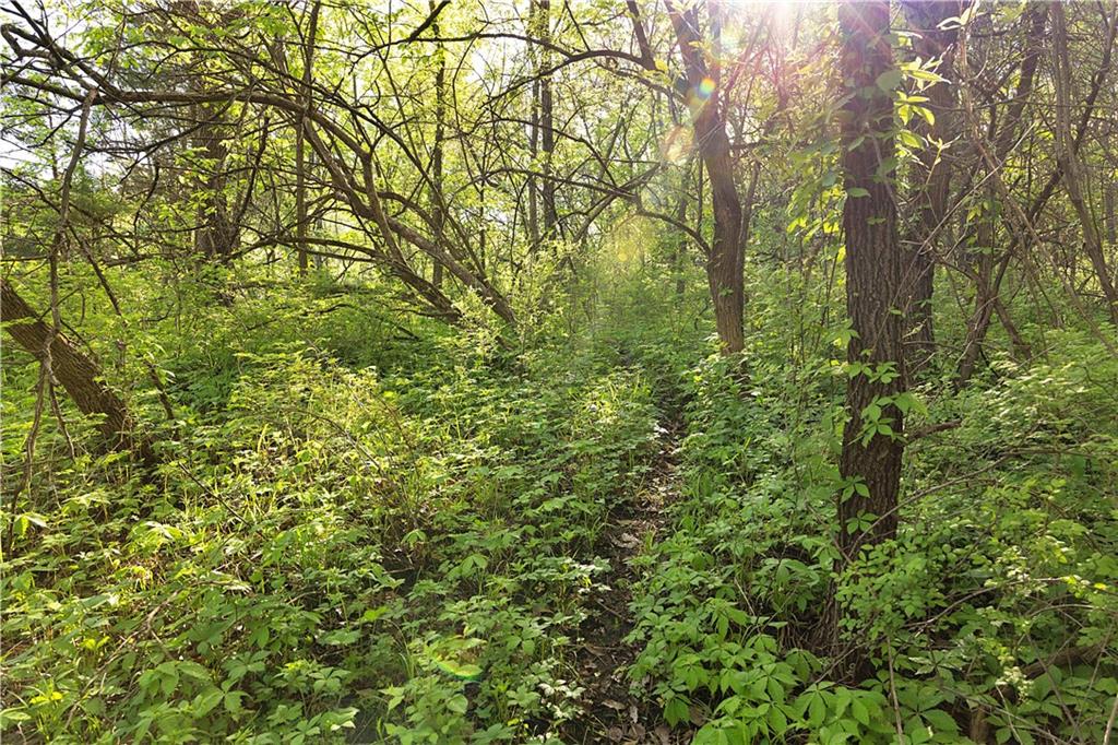 Tbd Key Avenue Property Photo 41
