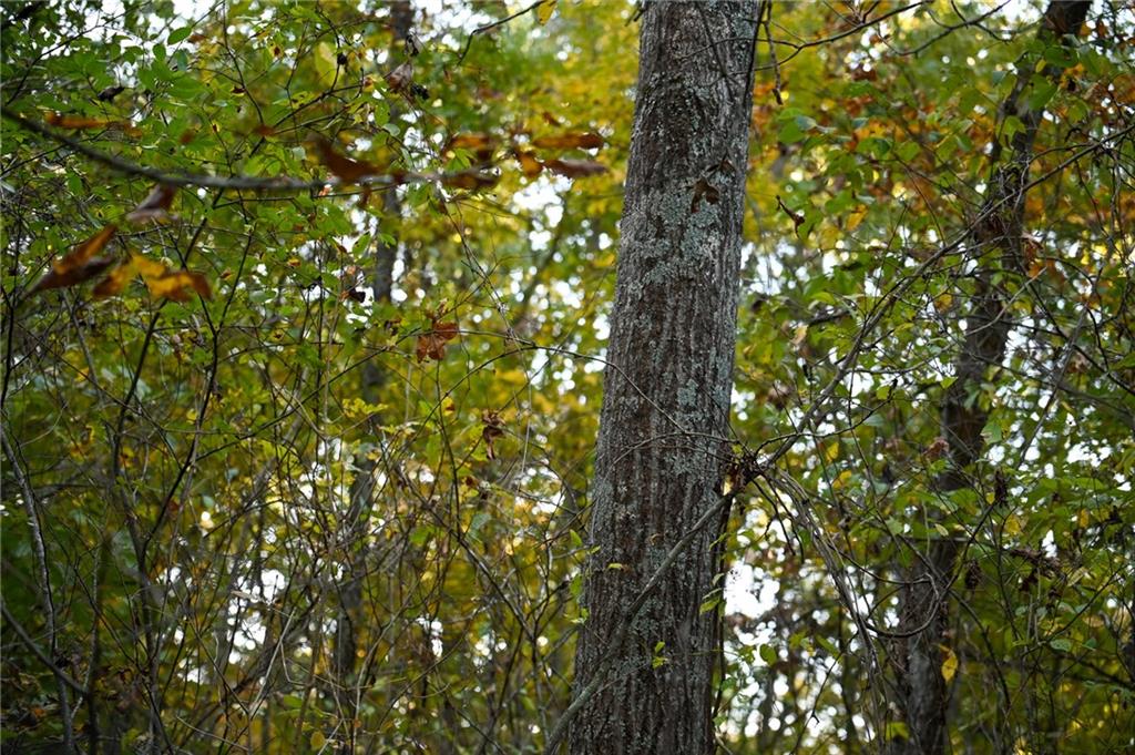 21395 Se 2124 Road Property Photo 25