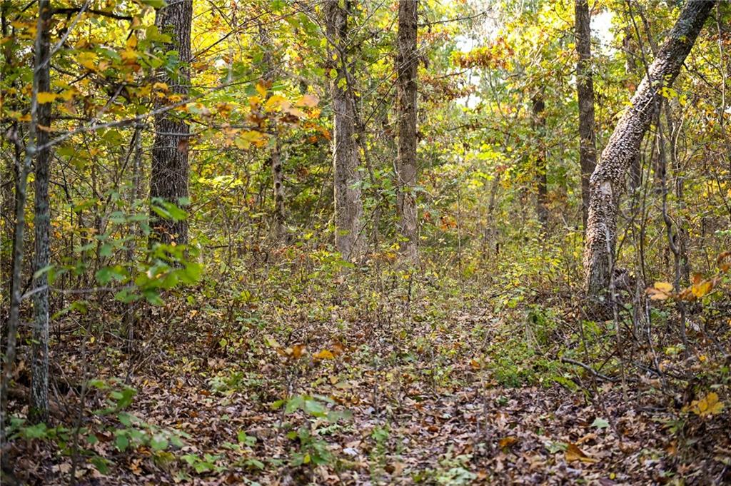 Lot 2 S 725 Road Property Photo 45