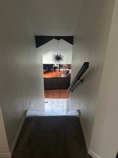3315 Shady Lane Drive Property Photo 21