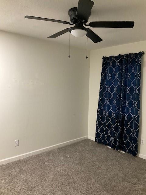 3315 Shady Lane Drive Property Photo 31