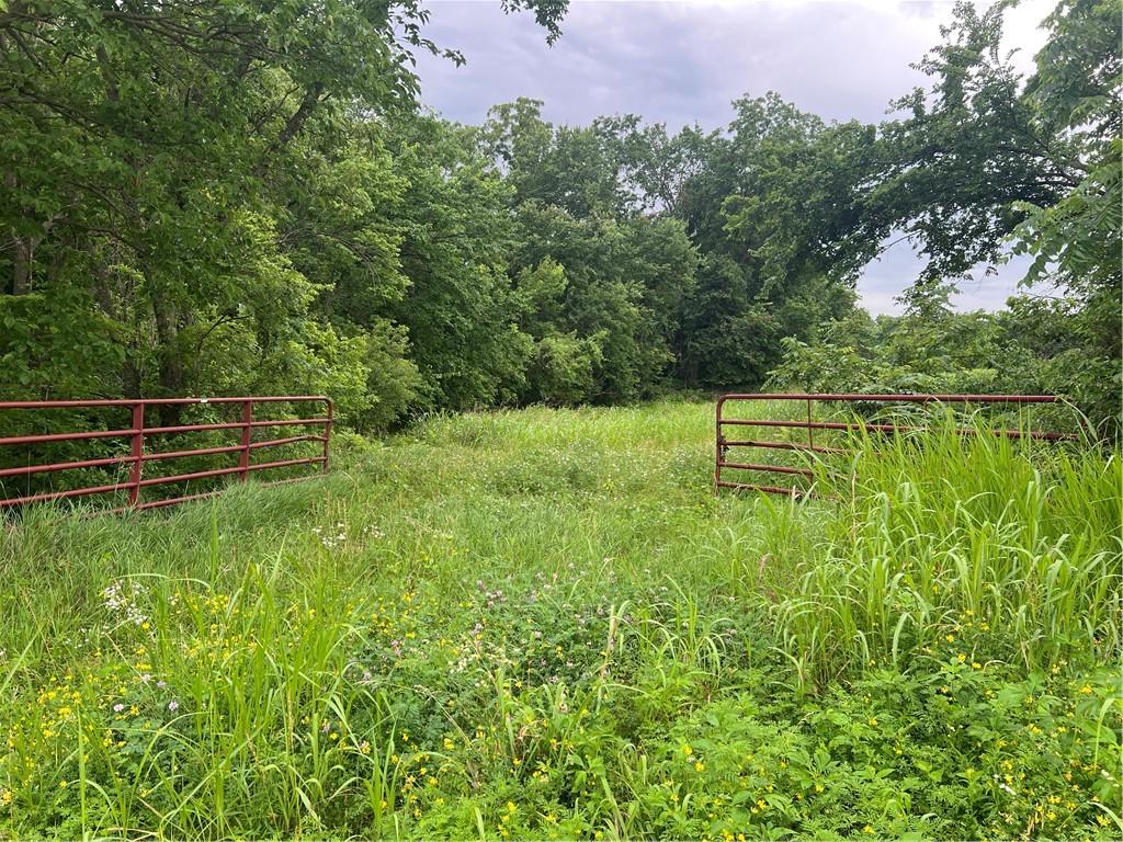 Sec-i-435 & Farley Hampton Road Property Photo 3