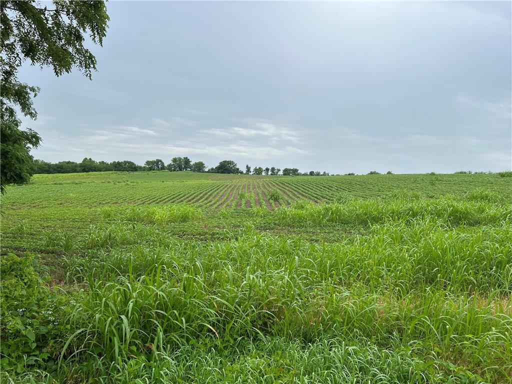 Sec-i-435 & Farley Hampton Road Property Photo 6