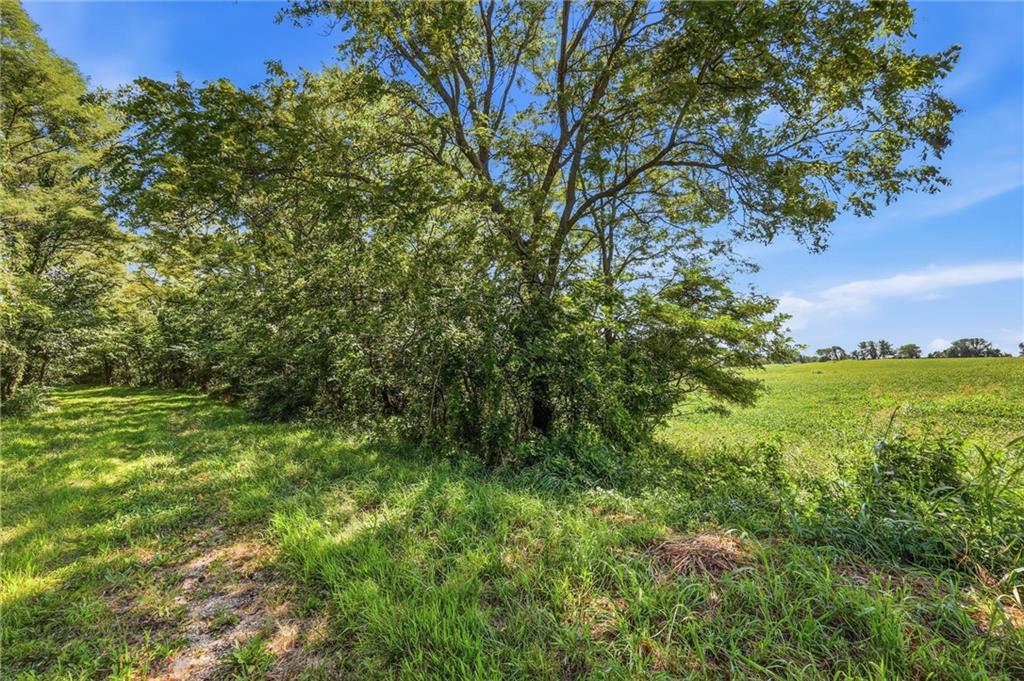 Sec-i-435 & Farley Hampton Road Property Photo 12