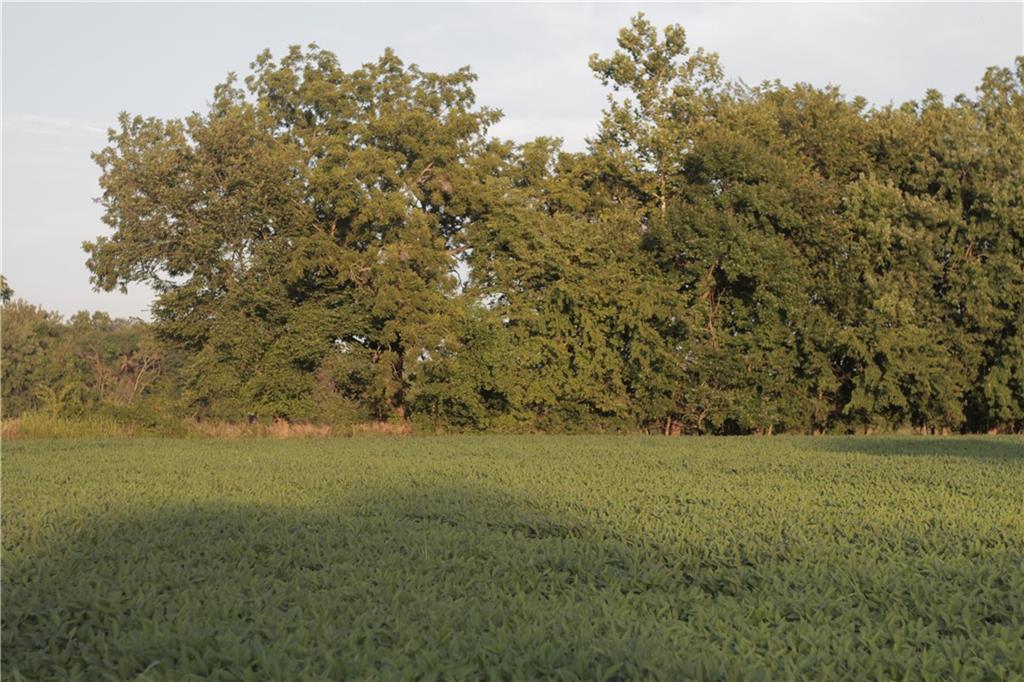 000 4600 Road Property Photo 34
