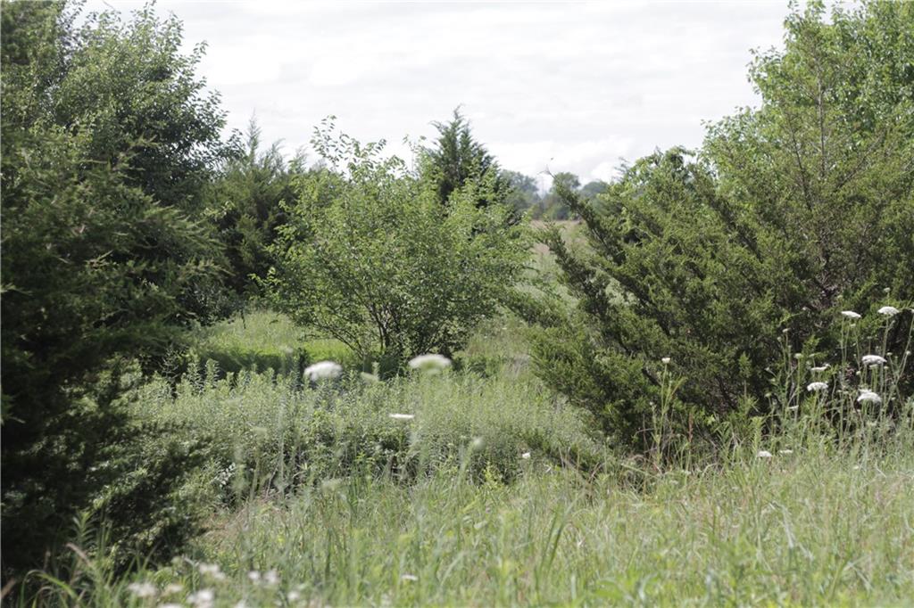 000 4600 Road Property Photo 44