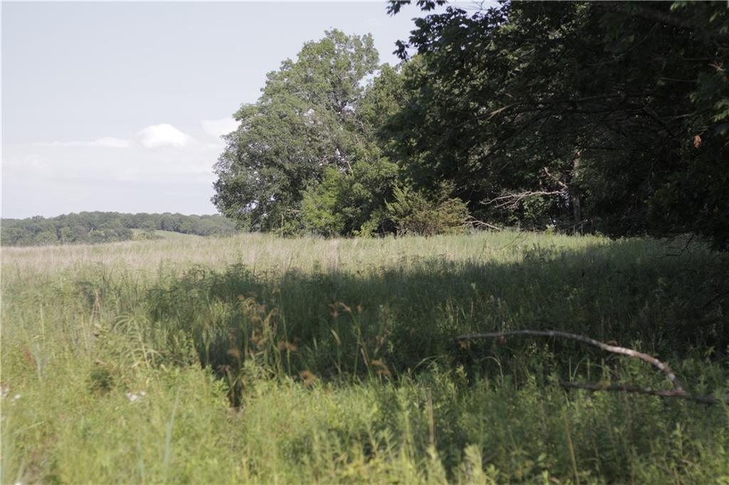 000 Unique Road Property Photo 29
