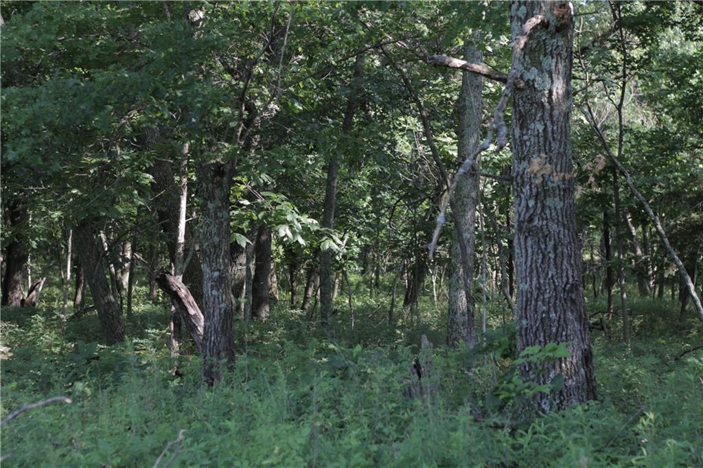 000 Unique Road Property Photo 30