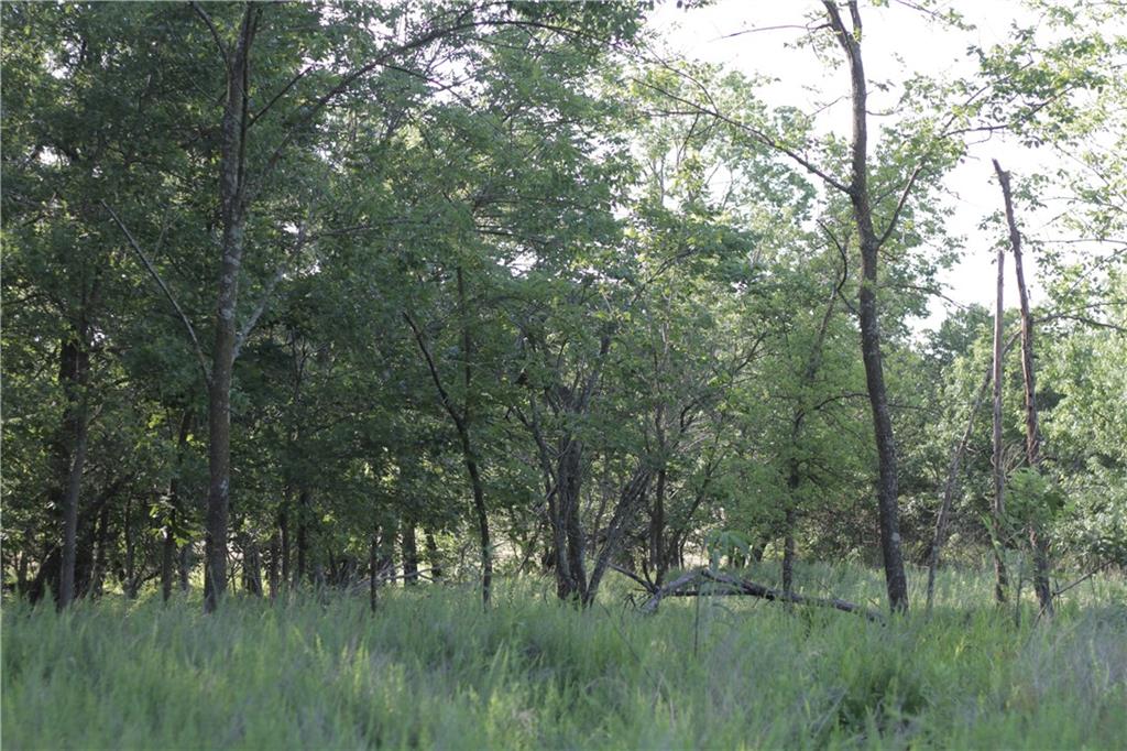 000 Unique Road Property Photo 31