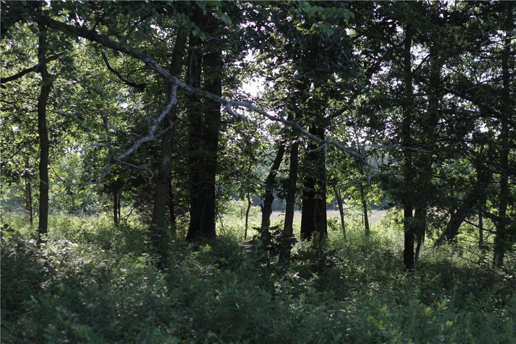 000 Unique Road Property Photo 32