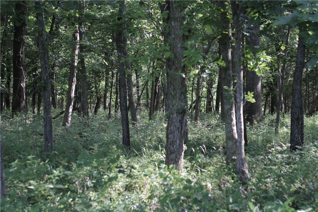 000 Unique Road Property Photo 35