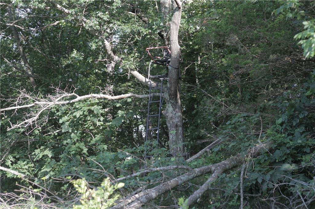 000 Unique Road Property Photo 40