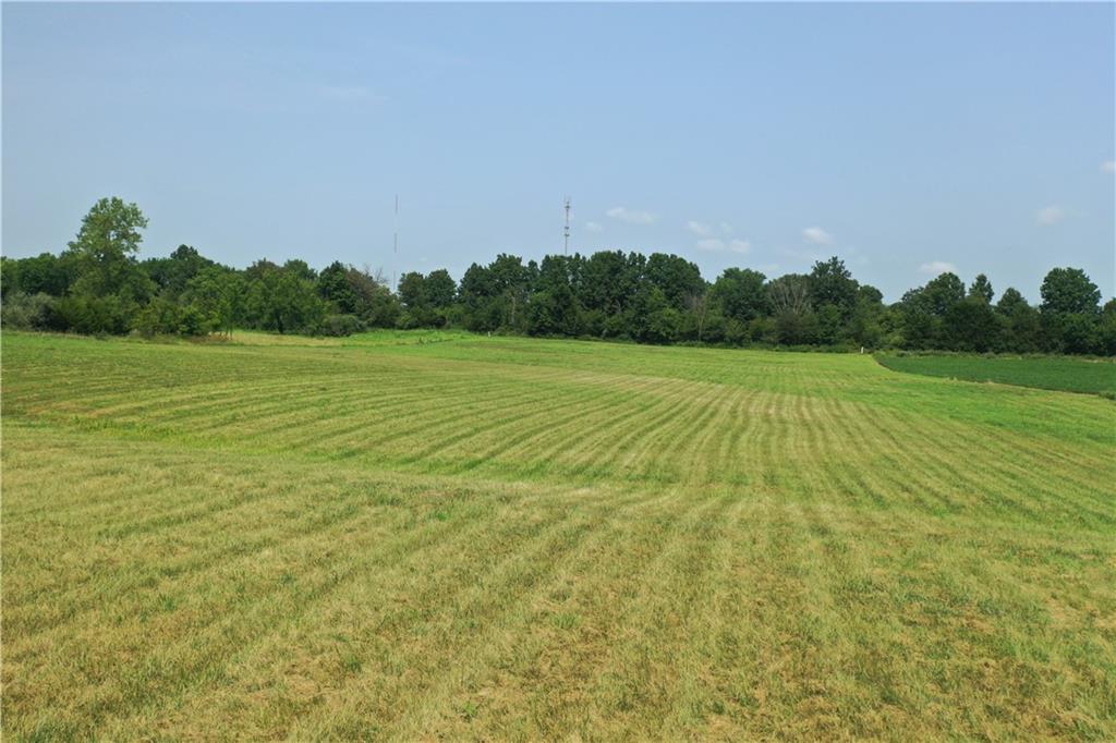 1 Junior Mosley Drive Property Photo 2