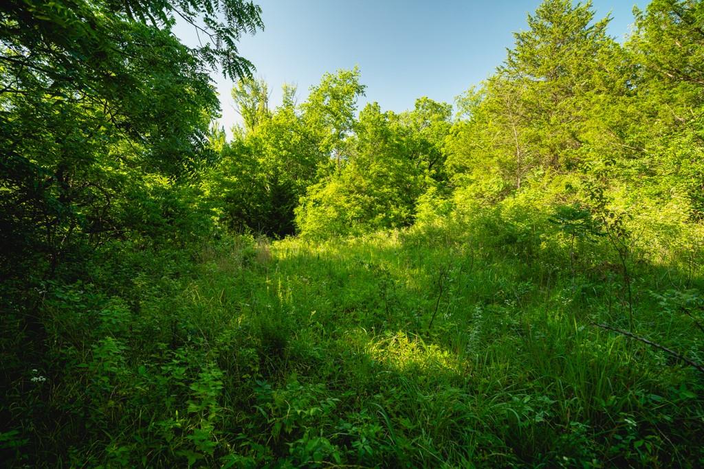 Us 56 Highway Property Photo 9