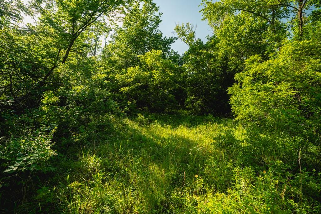Us 56 Highway Property Photo 24