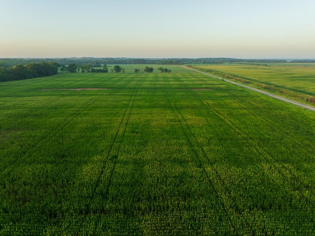 Tbd C Highway Property Photo 8