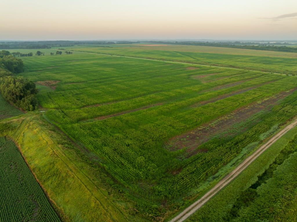 Tbd C Highway Property Photo 19