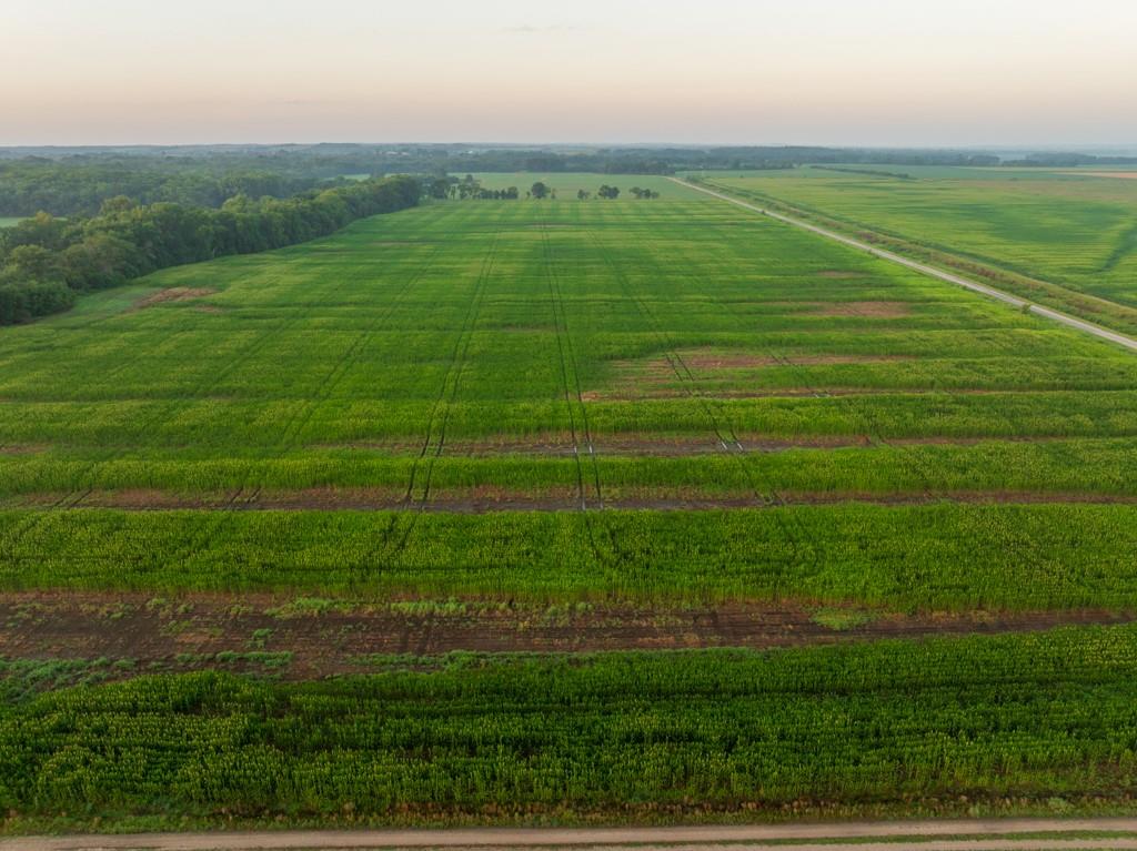 Tbd C Highway Property Photo 21