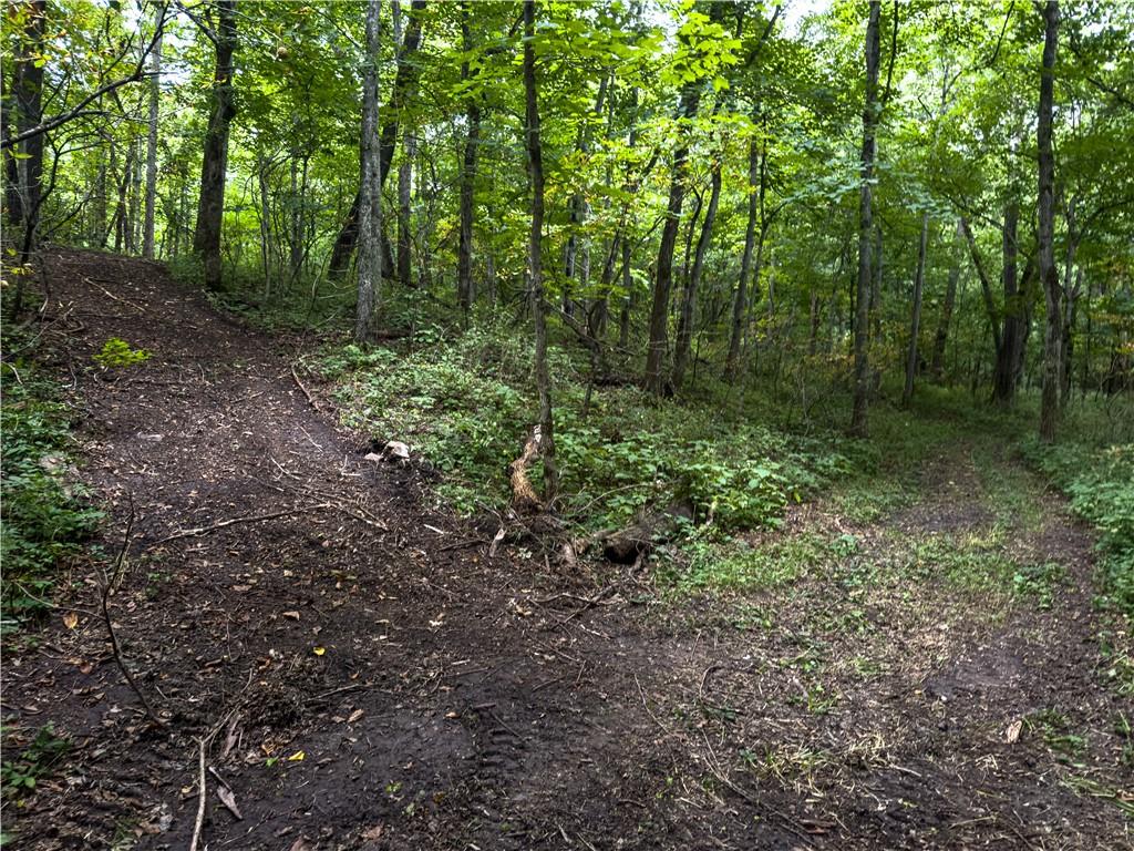 Fire Branch Road Property Photo 30