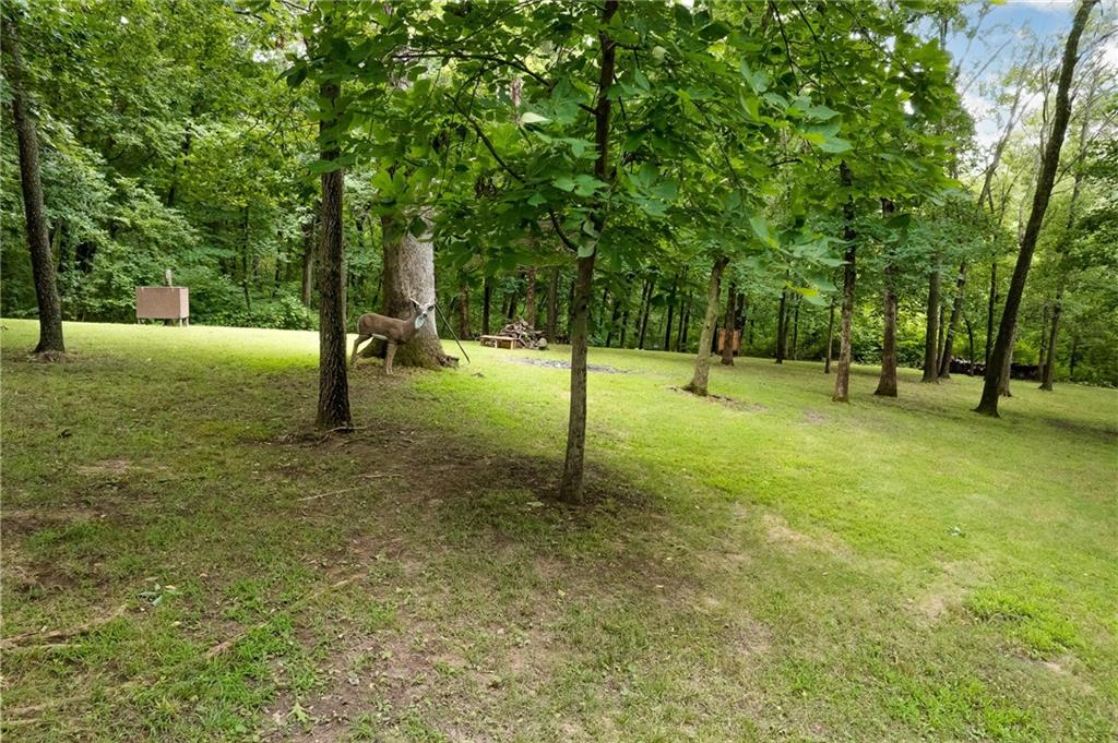 4 Lakes Drive Property Photo 40