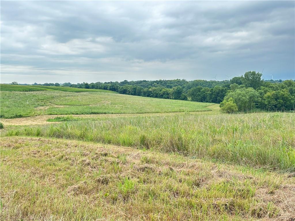 Tract 4 Noble Road Property Photo 19
