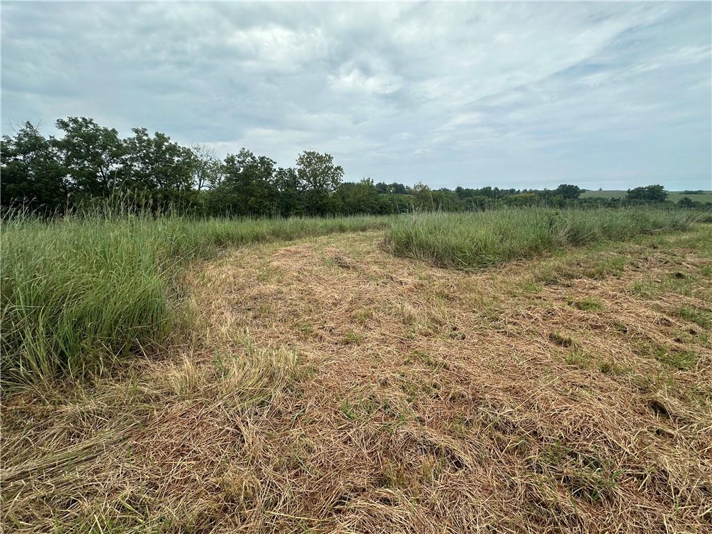 Tract 11 State M Highway Property Photo 15